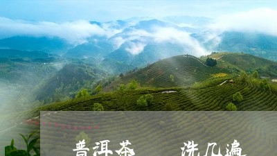 普洱茶  洗几遍/2023031694306